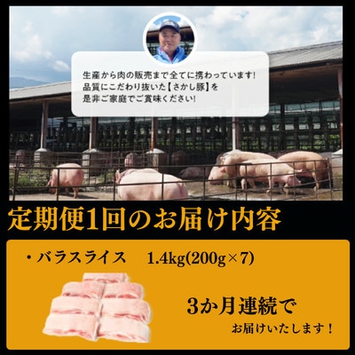 【毎月定期便】鹿児島県 鹿屋産 さかし豚 バラ スライス 1.4kg 真空 小分け全3回