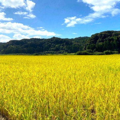 令和4年産こだわり農家の自信作!鹿屋市高隈産「ひのひかり」5kg×2袋　1666