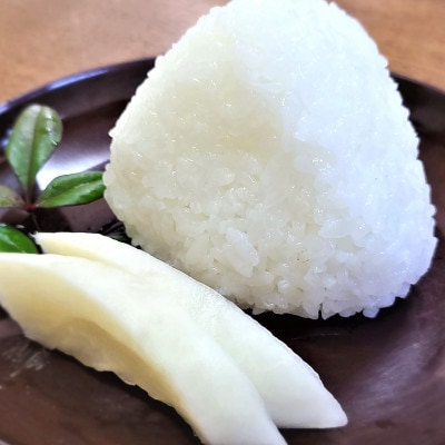 令和4年産こだわり農家の自信作!鹿屋市高隈産「ひのひかり」5kg×2袋　1666