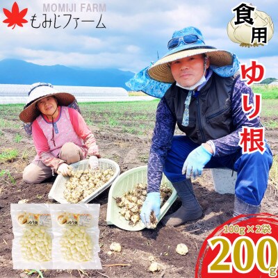 【栽培期間中化学肥料不使用】ほくほくしてほんのり甘いゆり根200g(100g×2袋)　2351