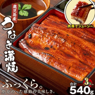 【鹿児島産】地下水で育てた うなぎ 蒲焼 180g×3尾 2446(鹿屋市)