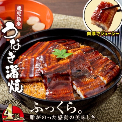 【鹿児島産】地下水で育てた うなぎ 蒲焼 180g×4尾 2447(鹿屋市)