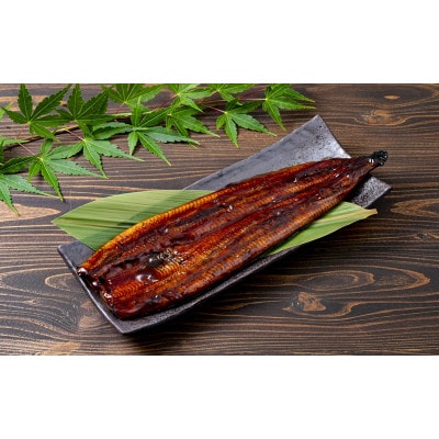【鹿児島産】地下水で育てた うなぎ 蒲焼 180g×4尾 2447(鹿屋市)