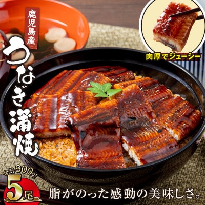 【鹿児島産】地下水で育てた うなぎ 蒲焼 180g×5尾 2448(鹿屋市)