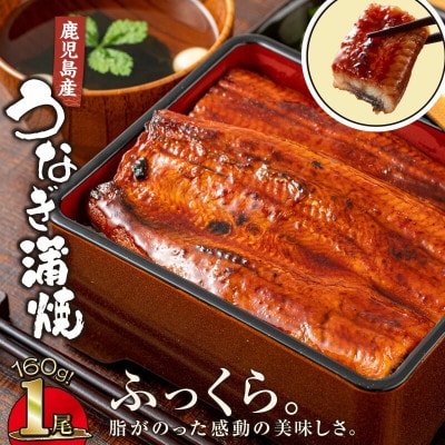 【鹿児島産】地下水で育てた うなぎ 蒲焼 160g×1尾 2520(鹿屋市)