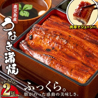 【鹿児島産】地下水で育てた うなぎ 蒲焼 160g×2尾 1688-3(鹿屋市)