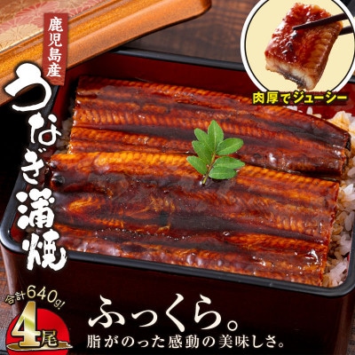 【鹿児島産】地下水で育てた うなぎ 蒲焼 160g×4尾 2441(鹿屋市)