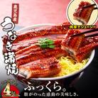【鹿児島産】地下水で育てた うなぎ 蒲焼 170g×4尾 2444(鹿屋市)