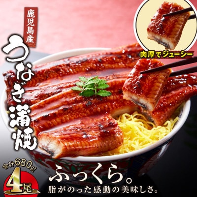 【鹿児島産】地下水で育てた うなぎ 蒲焼 170g×4尾 2444(鹿屋市)