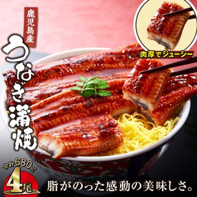 【鹿児島産】地下水で育てた うなぎ 蒲焼 170g×4尾 2444(鹿屋市)