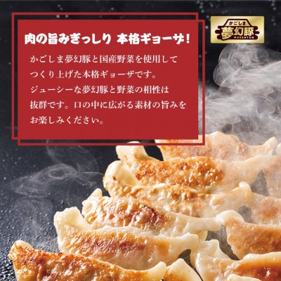 かごしま夢幻豚餃子60個　2773(鹿屋市)