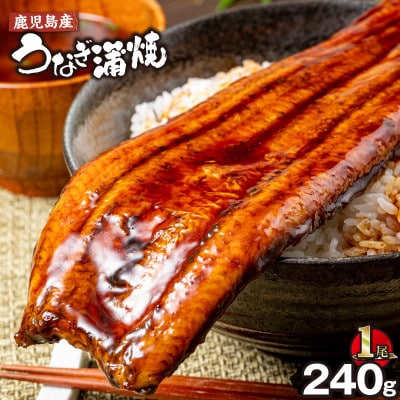 鹿児島産　うなぎ240g×1尾(鹿屋市)