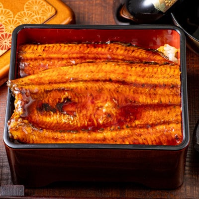 鹿児島産　うなぎ240g×3尾(鹿屋市)