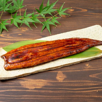 鹿児島産　うなぎ240g×3尾(鹿屋市)