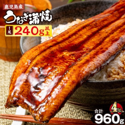 鹿児島産　うなぎ240g×4尾(鹿屋市)
