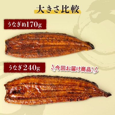 鹿児島産　うなぎ240g×4尾(鹿屋市)