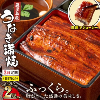【毎月定期便】鹿児島産 地下水で育てた うなぎ 蒲焼 180g×2尾 1547-3全3回