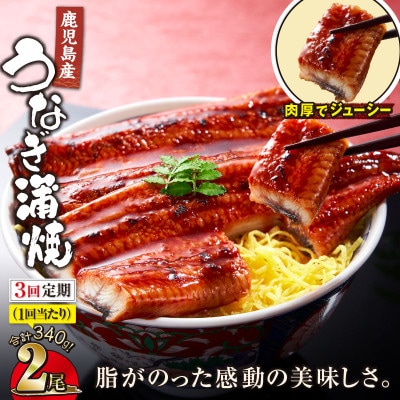 【毎月定期便】鹿児島産 地下水で育てたうなぎ蒲焼 170g×2尾 KN021-T02(鹿屋市)全3回
