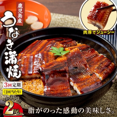 【毎月定期便】鹿児島産 地下水で育てたうなぎ蒲焼 180g×2尾 KN021-T01(鹿屋市)全3回