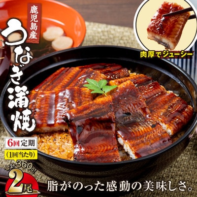 【毎月定期便】鹿児島産 地下水で育てたうなぎ蒲焼 180g×2尾 KN021-T01(鹿屋市)全6回