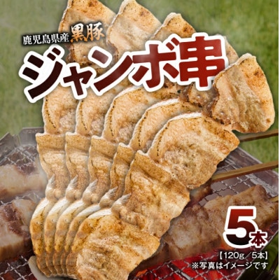 鹿児島県産 黒豚 ジャンボ串5本