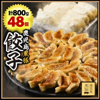 鹿児島黒豚 餃子800g(48個)