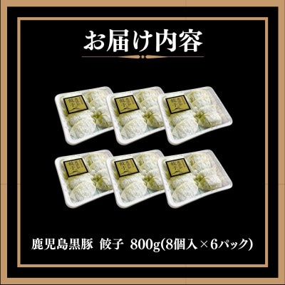 鹿児島黒豚 餃子800g(48個)
