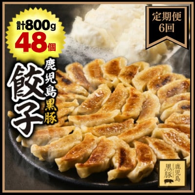 【毎月定期便】鹿児島黒豚 餃子800g(48個)全6回