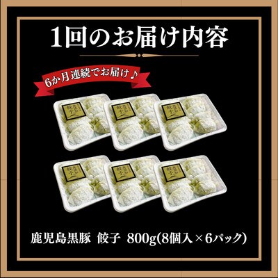 【毎月定期便】鹿児島黒豚 餃子800g(48個)全6回