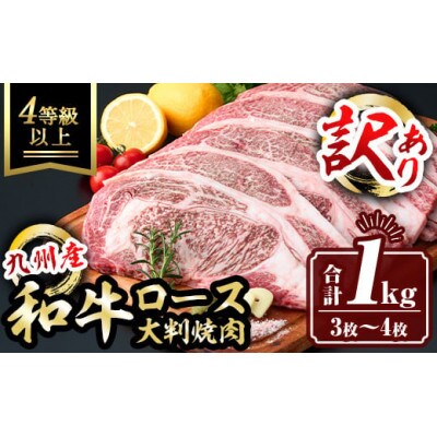 【訳あり】九州産和牛ロース大判焼肉(合計1kg・3枚～4枚)(鹿屋市)