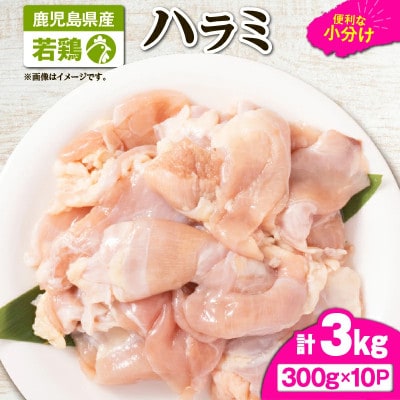 鹿児島県産若鶏ハラミ 3kgセット　KN105-017(鹿屋市)