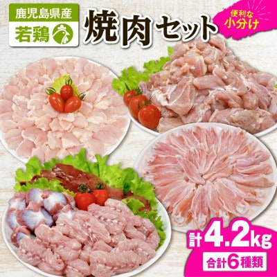 若鶏焼肉4.2kgセット　KN105-001(2653)(鹿屋市)