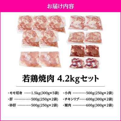 若鶏焼肉4.2kgセット　KN105-001(2653)(鹿屋市)