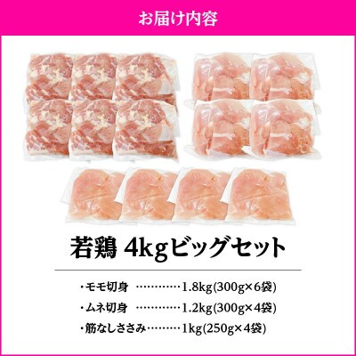 若鶏4kgビッグセット　KN105-001-02(2648)(鹿屋市)
