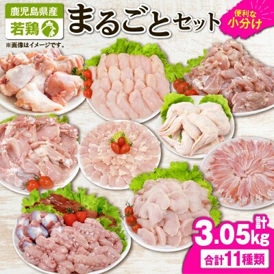 若鶏まるごと3.05kgセット　KN105-006(2649)(鹿屋市)