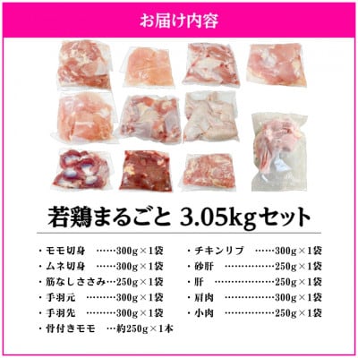 若鶏まるごと3.05kgセット　KN105-006(2649)(鹿屋市)