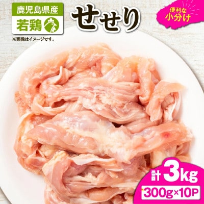 鹿児島県産若鶏せせり(小肉) 3kgセット　KN105-018(鹿屋市)