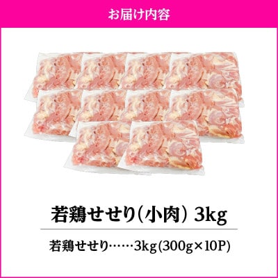 鹿児島県産若鶏せせり(小肉) 3kgセット　KN105-018(鹿屋市)