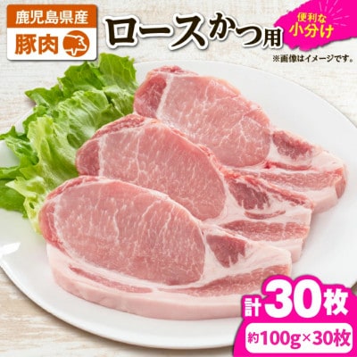 豚肉ロースカツ用30枚セット　KN105-012(2641)(鹿屋市)