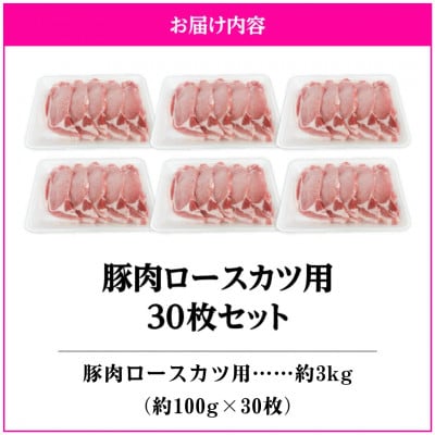 豚肉ロースカツ用30枚セット　KN105-012(2641)(鹿屋市)