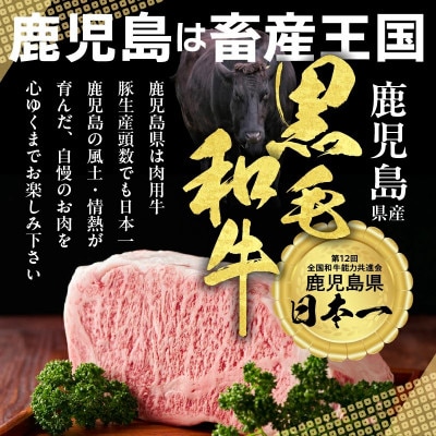 鹿児島県産 黒毛和牛 モモスライス 計1kg(500g×2P)(鹿屋市) KN102-001-02
