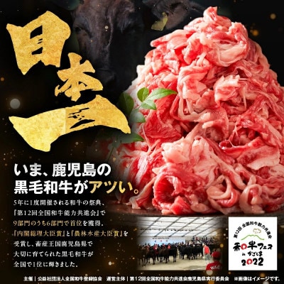 鹿児島県産 黒毛和牛 モモスライス 計1kg(500g×2P)(鹿屋市) KN102-001-02