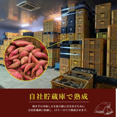 濃密 鹿児島県産 焼き芋 約1kg 【株式会社憲】2683 KN097-003-02