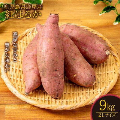 鹿児島県鹿屋産　紅はるか　9kg(2Lサイズ)(鹿屋市)