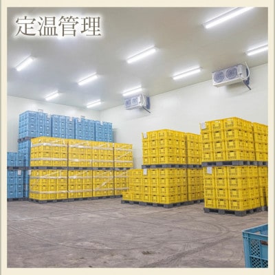 鹿児島県鹿屋産　紅はるか　9kg(2Lサイズ)(鹿屋市)