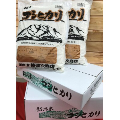令和4年産　七谷産コシヒカリ10kg(5kg×2袋)