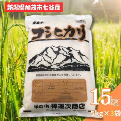 【令和6年産】新潟県七谷産 コシヒカリ 15kg (5kg×3袋)