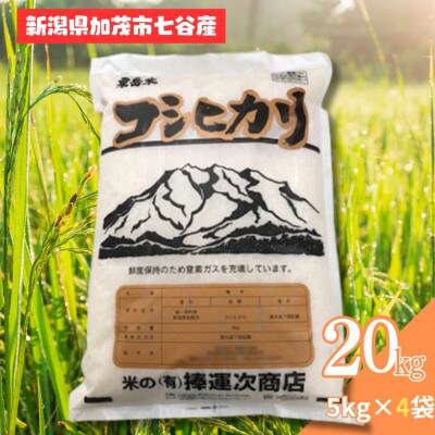 【令和6年産】新潟県七谷産 コシヒカリ 20kg (5kg×4袋)
