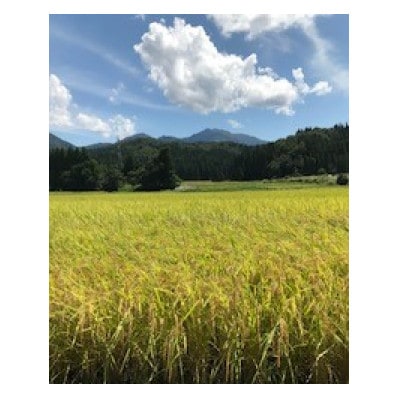 加茂市産コシヒカリ 精米 5kg