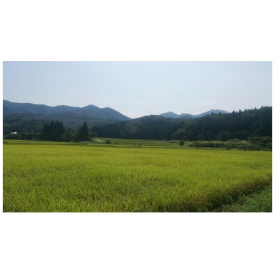加茂市産コシヒカリ 15kg(精米)